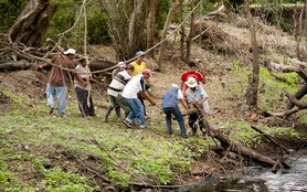 clearing-drainage-channel-salvador-july2012