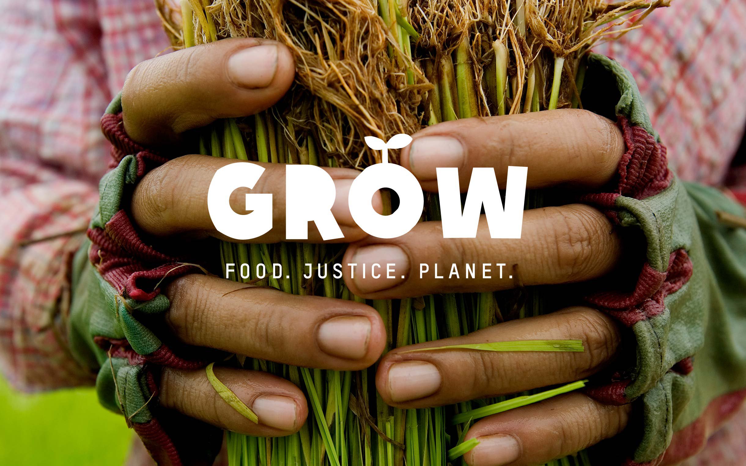 grow-campaign-rice-farmer-cambodia-ogb-46427.jpg
