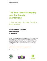 new-forest-220911-en-thumbnail